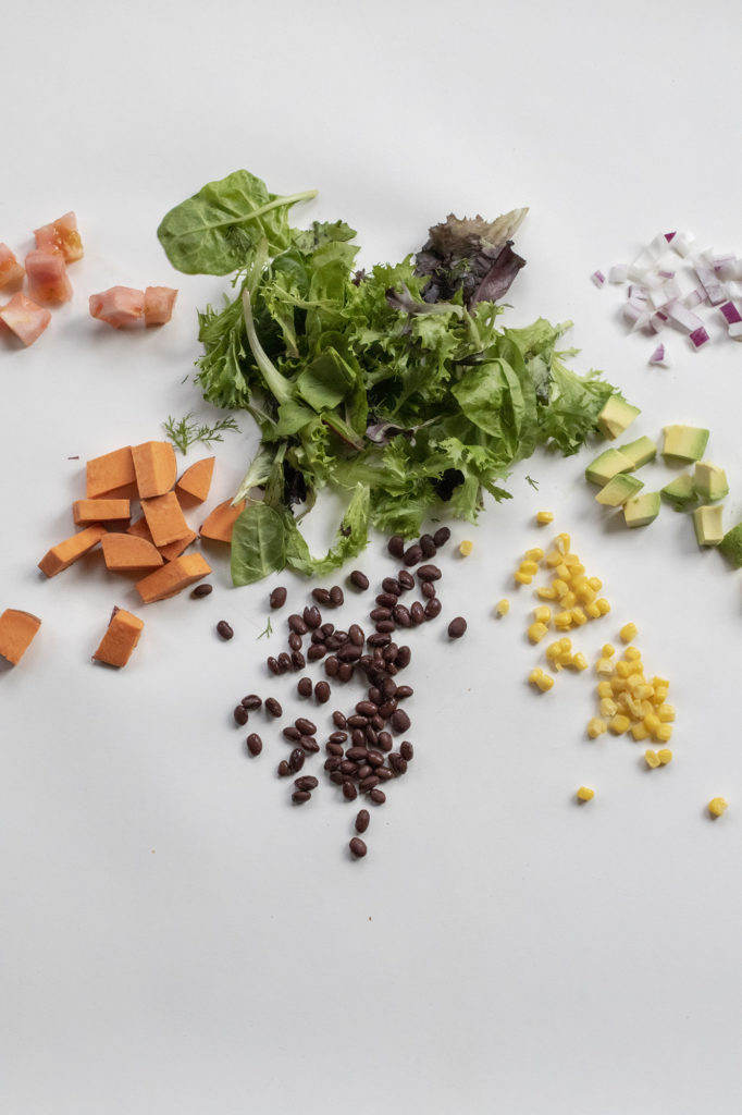 1Y8A7173 Salad surrounded by diced tomatoes, sweet potatoes, black beans, corn, avocado, and red onions on a white background.