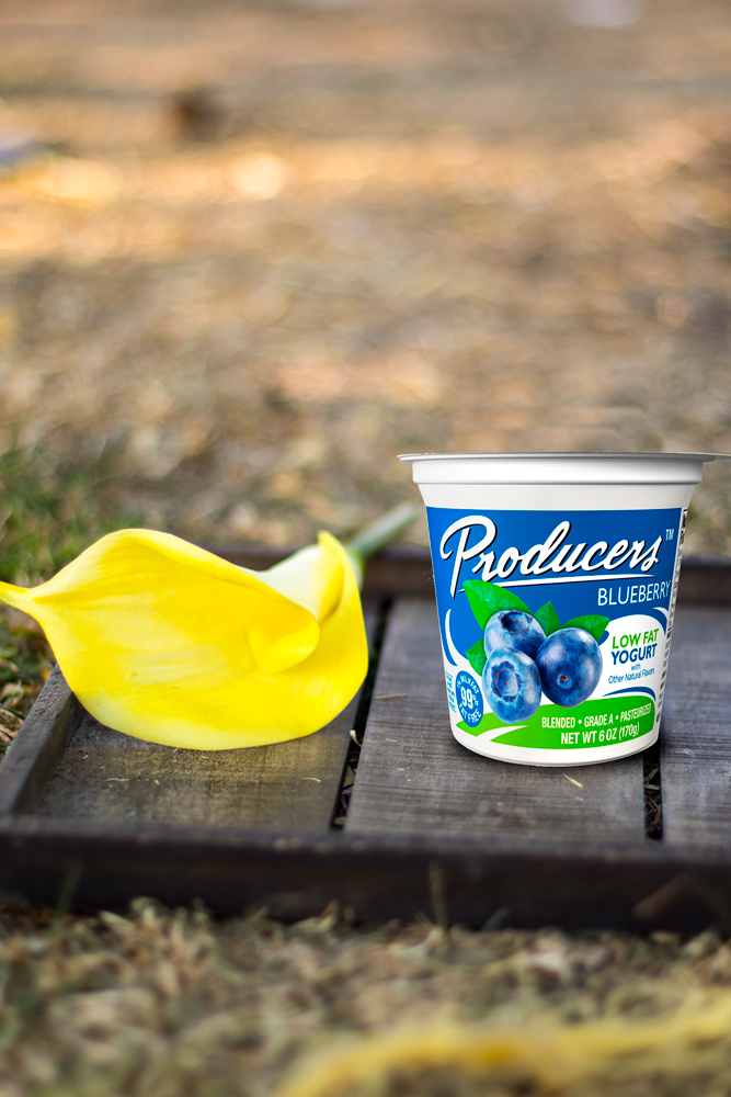 BlueBerryYogurt