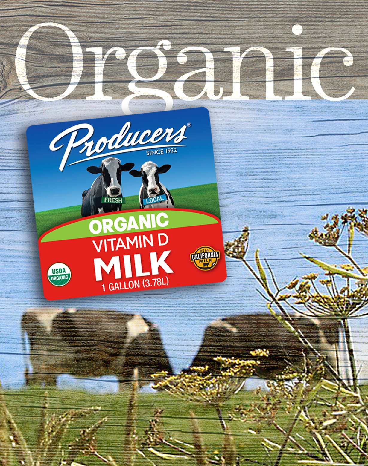 Click here to learn about our frequently asked questions on organic milk.